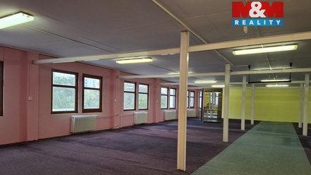 Pronájem obchodního prostoru 260 m², Chomutov