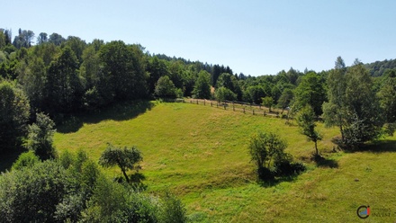 Prodej stavebního pozemku 4 823 m², Olešnice v Orlických horách