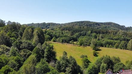 Prodej stavebního pozemku 4 589 m², Olešnice v Orlických horách