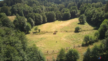 Prodej stavebního pozemku 3 118 m², Olešnice v Orlických horách