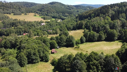 Prodej stavebního pozemku 3 118 m², Olešnice v Orlických horách