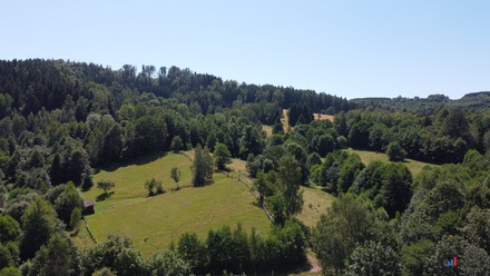 Prodej stavebního pozemku 2 088 m², Olešnice v Orlických horách