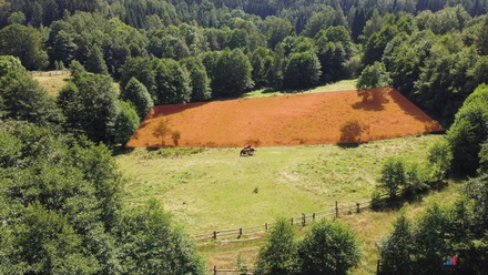 Prodej stavebního pozemku 3 446 m², Olešnice v Orlických horách