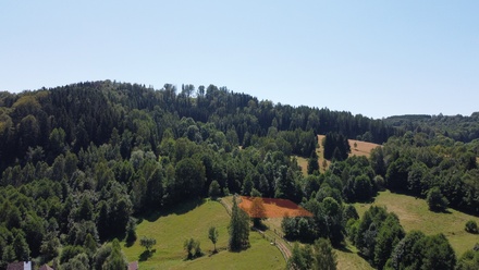 Prodej stavebního pozemku 2 065 m², Olešnice v Orlických horách