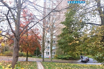 Pronájem bytu 1+1 34 m², Ústí nad Labem-Severní Terasa