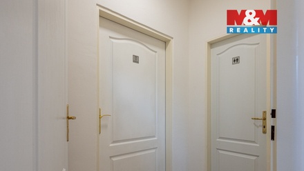 Pronájem atypického bytu 14 m², Divišov