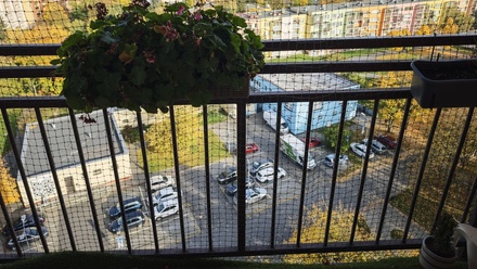 Pronájem bytu 1+kk 29 m², Ostrava - Moravská Ostrava a Přívoz