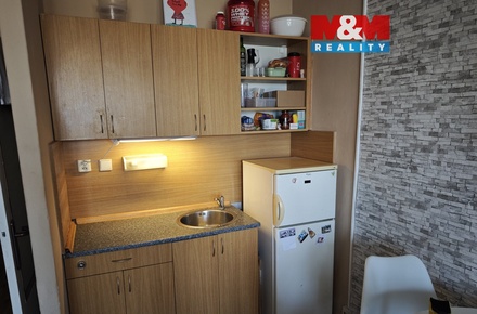 Pronájem bytu 1+kk 29 m², Ostrava - Moravská Ostrava a Přívoz