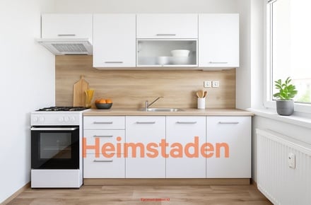 Pronájem bytu 1+1 38 m², Frýdek-Místek