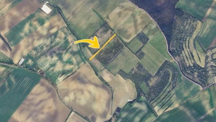 Prodej sadu / vinice 2 236 m², Klobouky u Brna