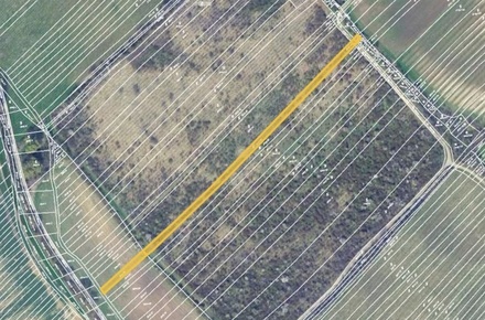 Prodej sadu / vinice 2 236 m², Klobouky u Brna