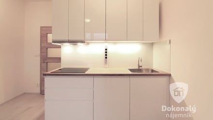 Pronájem bytu 1+kk 25 m², Brandýs nad Labem-Stará Boleslav - Brandýs nad Labem