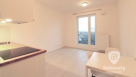 Pronájem bytu 1+kk 25 m², Brandýs nad Labem-Stará Boleslav - Brandýs nad Labem