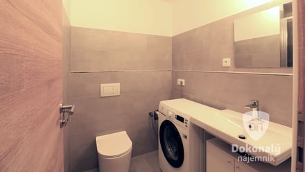 Pronájem bytu 1+kk 25 m², Brandýs nad Labem-Stará Boleslav - Brandýs nad Labem