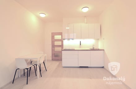 Pronájem bytu 1+kk 25 m², Brandýs nad Labem-Stará Boleslav - Brandýs nad Labem