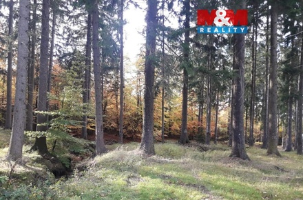 Prodej lesa 12 970 m², Manětín