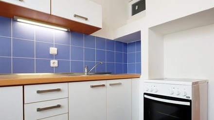 Pronájem bytu 1+1 46 m², Brno - Husovice