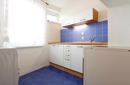 Pronájem bytu 1+1 46 m², Brno - Husovice