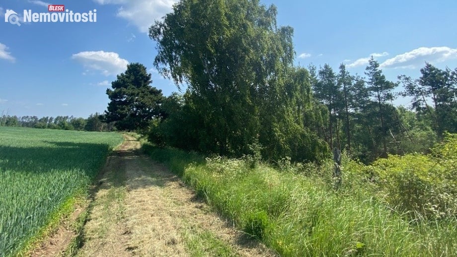 Dražby lesa 6 551 m², Slavičky