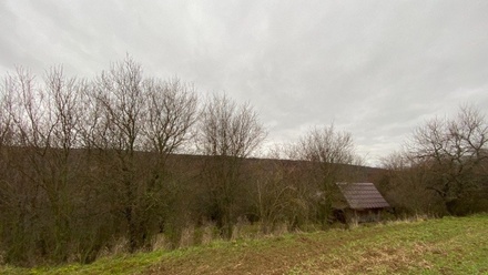 Dražby lesa 11 619 m², Šarovy