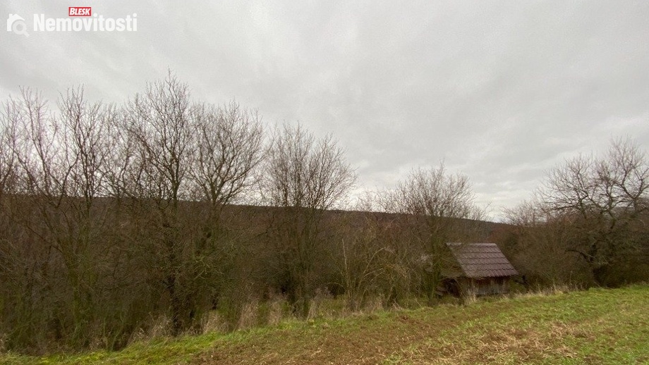 Dražby lesa 11 619 m², Šarovy