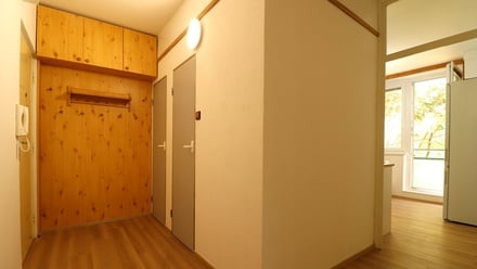 Pronájem bytu 2+1 56 m², Brno - Žabovřesky
