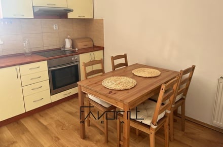 Pronájem bytu 1+1 53 m², Ostrava - Mariánské Hory