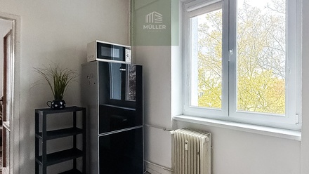 Pronájem bytu 3+1 56 m², Stříbro