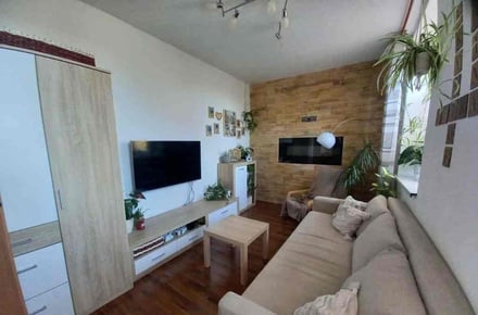 Prodej bytu 2+1 46 m², Hrušovany u Brna