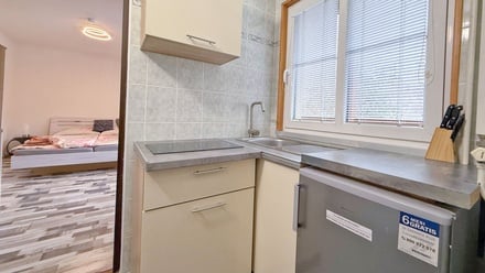 Prodej bytu 1+kk 20 m², Lipno nad Vltavou