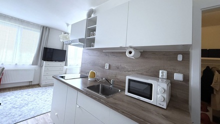 Pronájem bytu 1+kk 29 m², Klecany