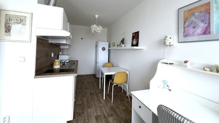 Pronájem bytu 1+kk 29 m², Klecany