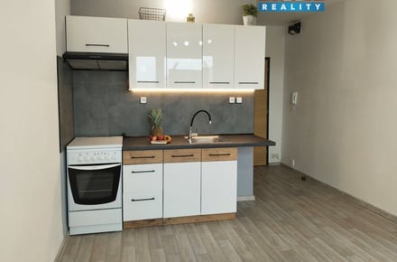 Pronájem bytu 1+1 42 m², Ústí nad Labem-Neštěmice