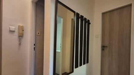 Pronájem bytu 2+kk 55 m², České Budějovice 1