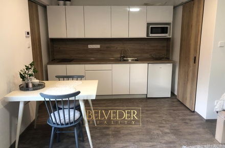 Pronájem bytu 1+kk 32 m², Teplice - Hudcov