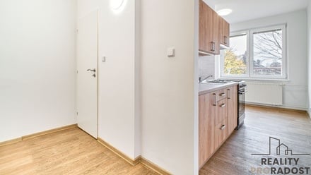 Pronájem bytu 1+1 39 m², Ostrava-Jih