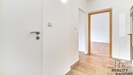 Pronájem bytu 1+1 39 m², Ostrava-Jih