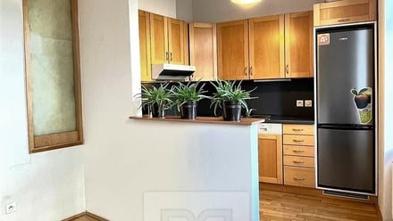 Pronájem bytu 2+kk 58 m², Praha - Holešovice