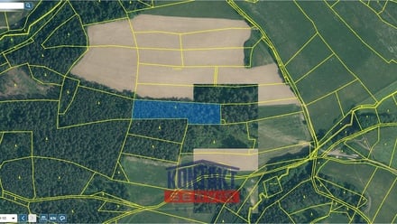 Prodej lesa 32 746 m², Budětice - Vlkonice
