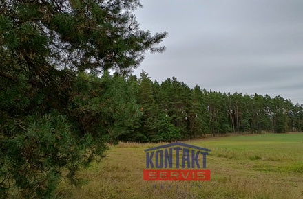 Prodej lesa 32 746 m², Budětice - Vlkonice