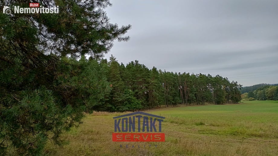 Prodej lesa 32 746 m², Budětice - Vlkonice