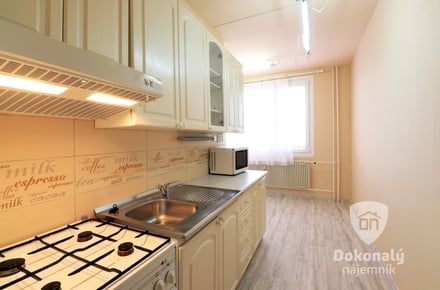 Pronájem bytu 2+1 62 m², Plzeň - Bolevec