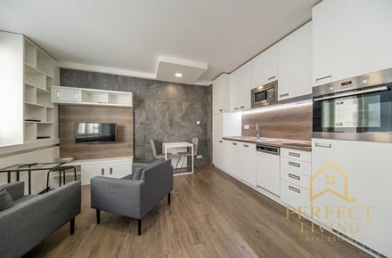 Pronájem bytu 1+kk 31 m², Praha 3, Vinohrady