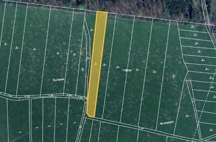 Prodej louky 4 209 m², Čížkov