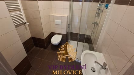 Pronájem bytu 1+kk 25 m², Milovice - Mladá