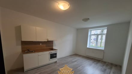 Pronájem bytu 1+kk 25 m², Milovice - Mladá
