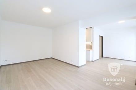 Pronájem bytu 1+kk 37 m², Mladá Boleslav III