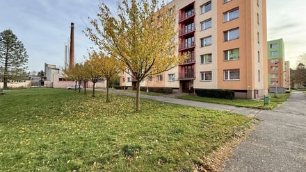 Pronájem bytu 3+1 76 m², Meziměstí