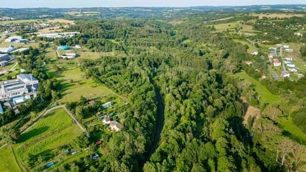 Prodej lesa 3 503 m², Velké Meziříčí
