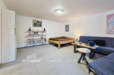 Pronájem bytu 1+1 50 m², Praha - Smíchov